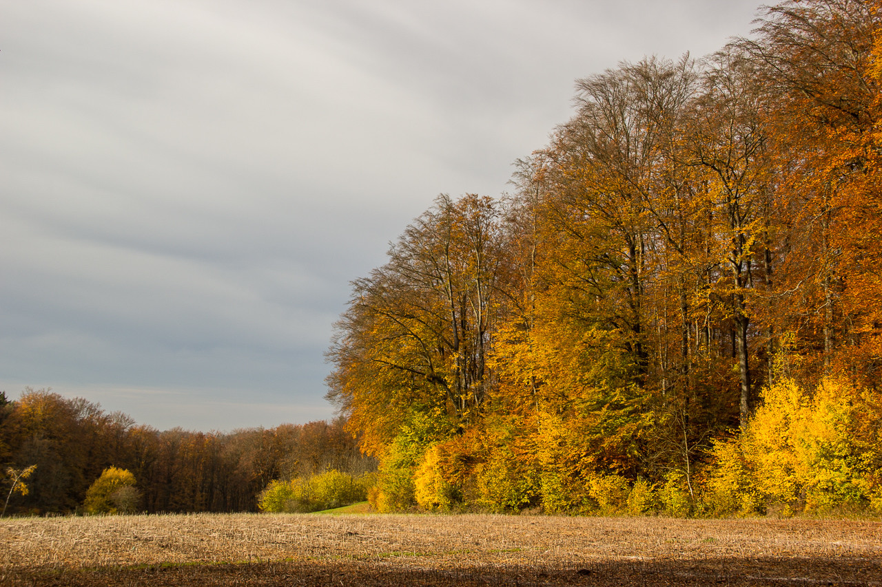 Herbstlandschaft