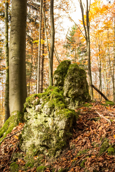 Felsen im Wald