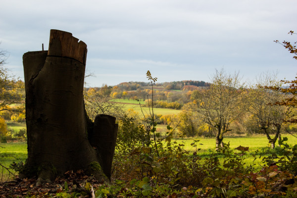 Landschaftsbild