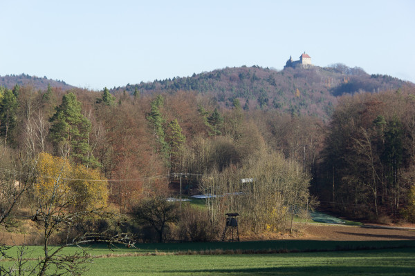 Burg Hohenstein